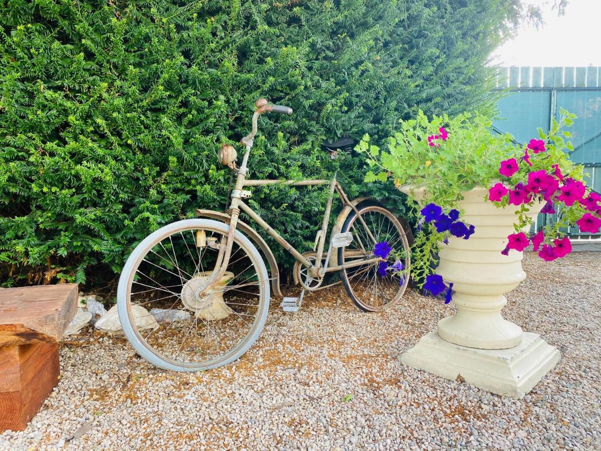 Aux Berges Du Libre Bed & Breakfast Felines-Termenes Dış mekan fotoğraf